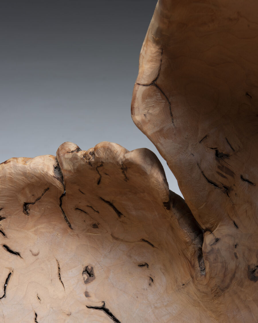 3380sculptural-root-object-swedish-6