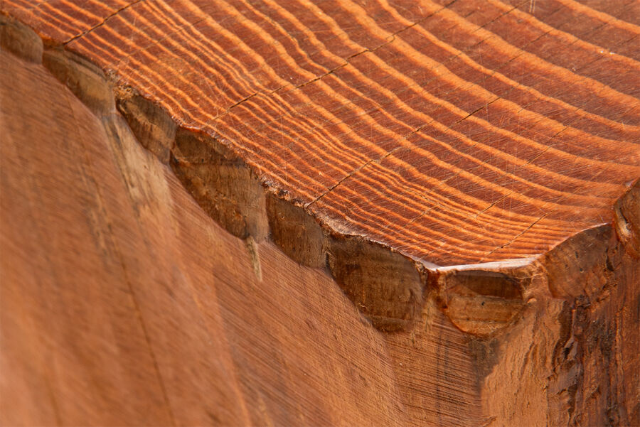 WABI SABI - TRUNK TABLE