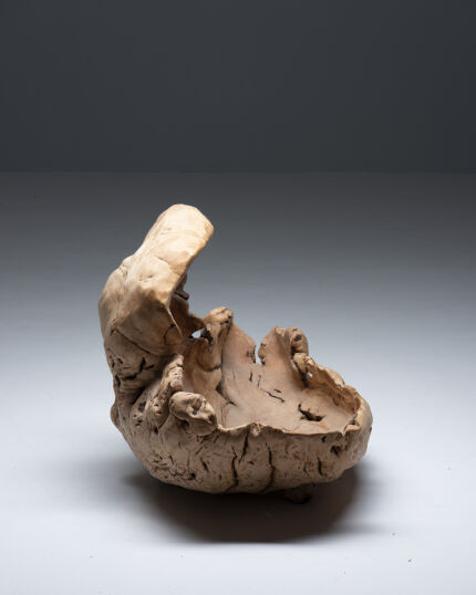 3380sculptural-root-object-swedish-1