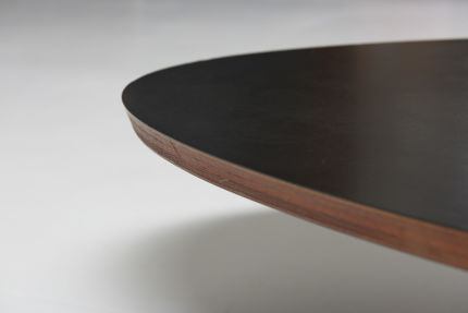 modestfurniture-vintage-1826-eames-wire-base-elliptical-table-surfboard08