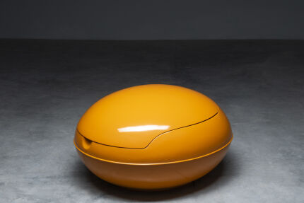 3528garden-egg-yellow-1